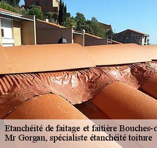 etancheite-de-faitage-et-faitiere