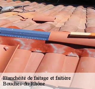 etancheite-de-faitage-et-faitiere