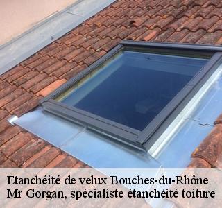 etancheite-de-velux