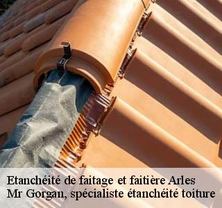 etancheite-de-faitage-et-faitiere
