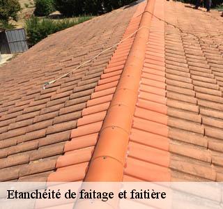 etancheite-de-faitage-et-faitiere