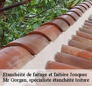 etancheite-de-faitage-et-faitiere