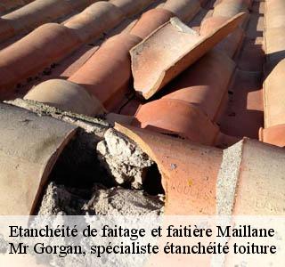 etancheite-de-faitage-et-faitiere