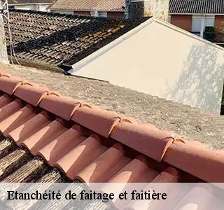 etancheite-de-faitage-et-faitiere