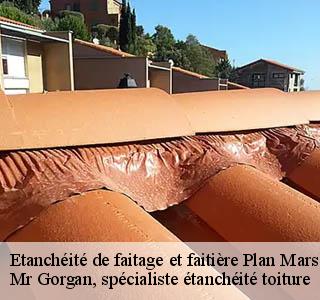 etancheite-de-faitage-et-faitiere