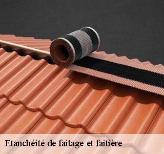 etancheite-de-faitage-et-faitiere