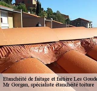 etancheite-de-faitage-et-faitiere