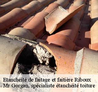 etancheite-de-faitage-et-faitiere