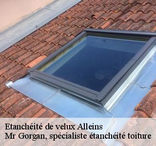 etancheite-de-velux