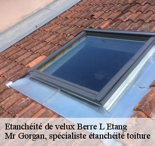 etancheite-de-velux