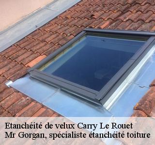 etancheite-de-velux