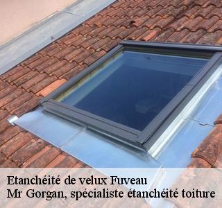 etancheite-de-velux