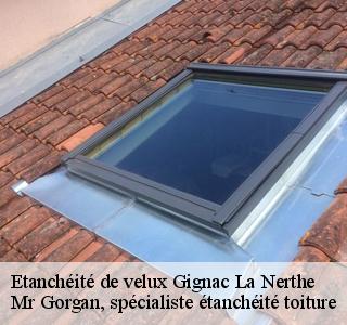etancheite-de-velux