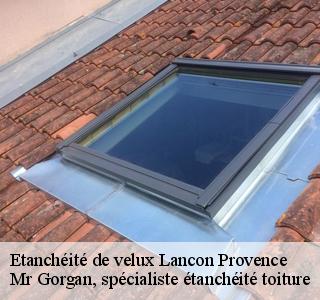 etancheite-de-velux