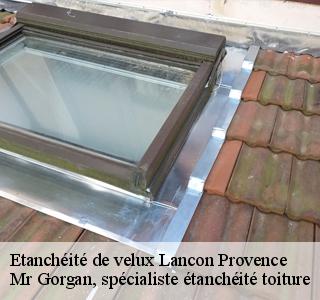 etancheite-de-velux