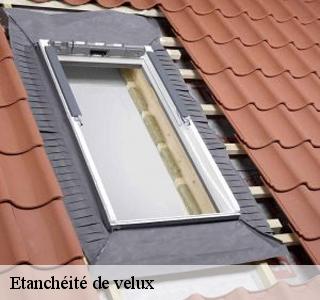 etancheite-de-velux