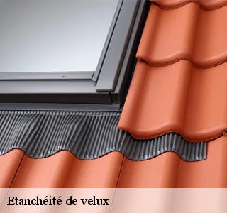 etancheite-de-velux