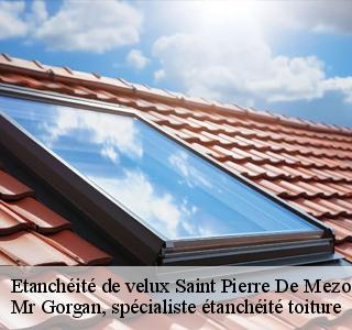 etancheite-de-velux