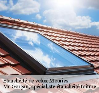 etancheite-de-velux