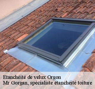 etancheite-de-velux