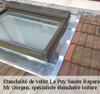 etancheite-de-velux
