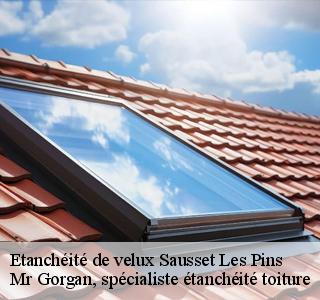 etancheite-de-velux