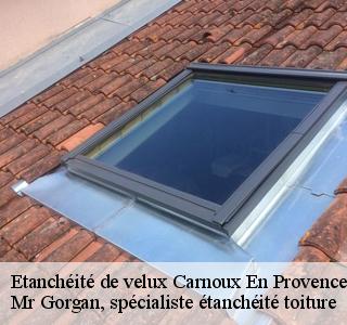 etancheite-de-velux