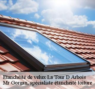 etancheite-de-velux