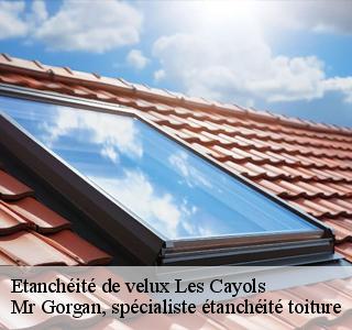 etancheite-de-velux