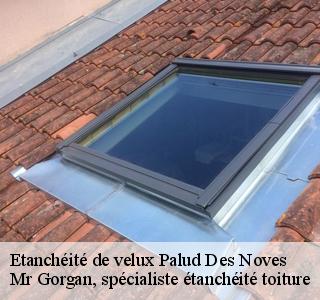 etancheite-de-velux