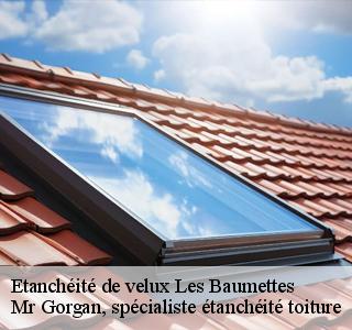 etancheite-de-velux