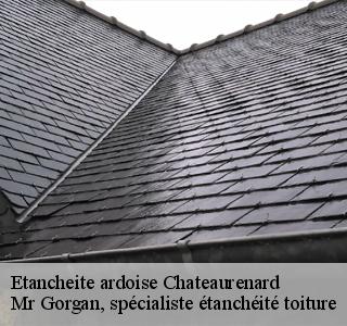 etancheite-ardoise