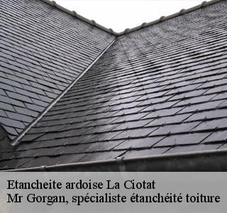 etancheite-ardoise