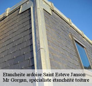 etancheite-ardoise