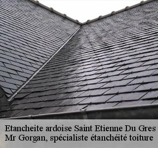 etancheite-ardoise