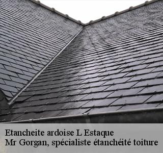 etancheite-ardoise