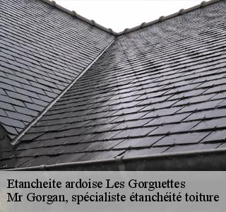 etancheite-ardoise