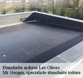 etancheite-ardoise