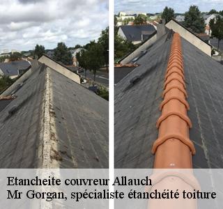 etancheite-couvreur