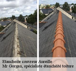 etancheite-couvreur