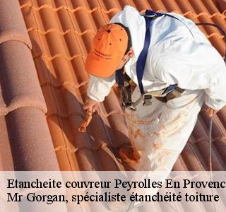 etancheite-couvreur