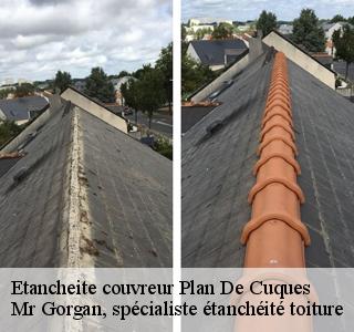etancheite-couvreur