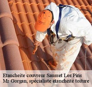 etancheite-couvreur