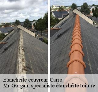 etancheite-couvreur