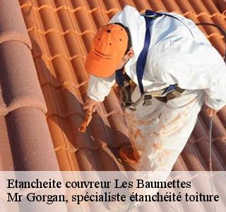 etancheite-couvreur