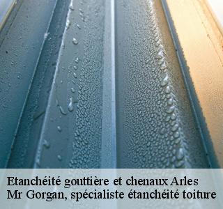 etancheite-gouttiere-et-chenaux