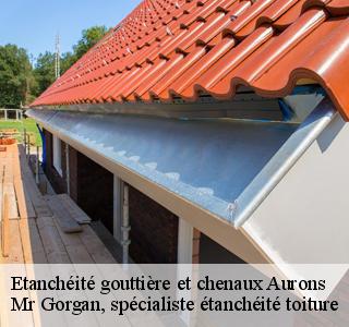 etancheite-gouttiere-et-chenaux