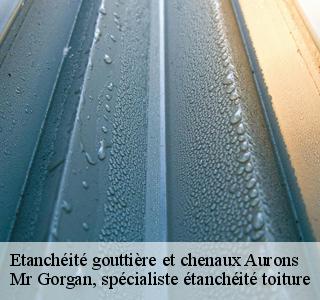 etancheite-gouttiere-et-chenaux