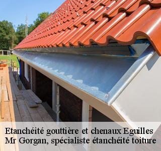 etancheite-gouttiere-et-chenaux