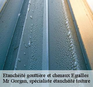 etancheite-gouttiere-et-chenaux